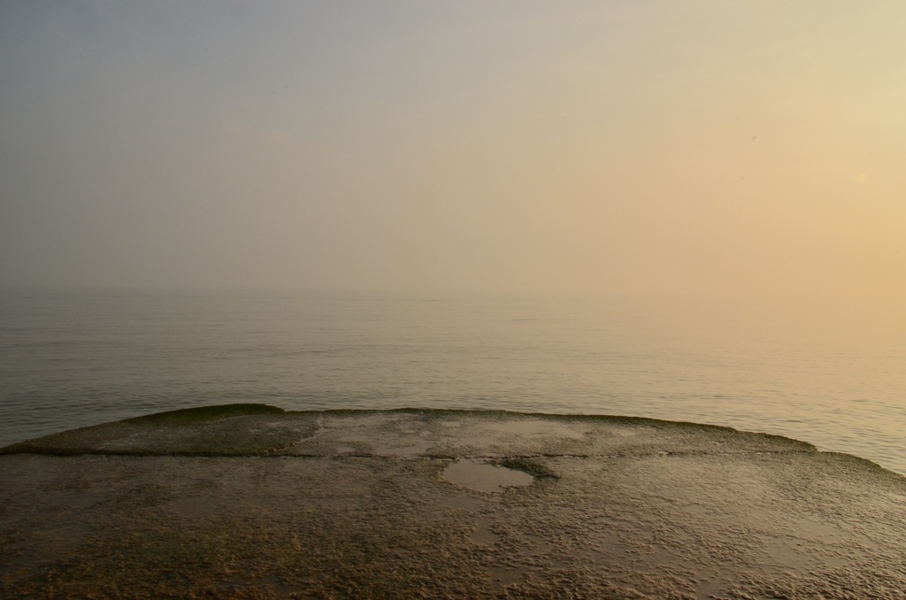 Brighton/DSC_0050.JPG