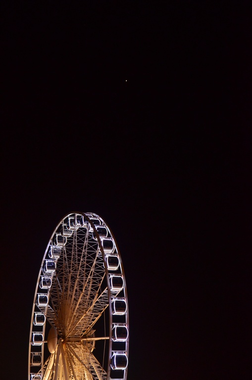 Brighton/DSC_0231.JPG